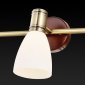 Настенно-потолочный светильник Toplight Sharyl TL3720Y-03BB
