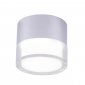 Потолочный светодиодный светильник Crystal Lux CLT 139C80 CH 4000K