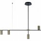 Подвесная люстра Loft IT Tribes 8120-4
