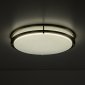 Настенно-потолочный светильник Citilux Бостон CL709503N