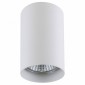 Точечный накладной светильник Lightstar Rullo 214436
