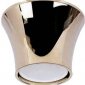 Точечный светильник Downlight N1596-Gold