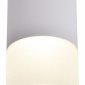 Потолочный светодиодный светильник Favourite Naram 3069-1C