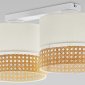 Потолочная люстра TK Lighting 6692 Paglia