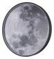 Настенно-потолочный светодиодный светильник Escada Planet 10226/SG LED Moon
