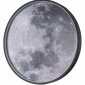 Настенно-потолочный светодиодный светильник Escada Planet 10226/SG LED Moon