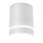 Точечный светильник Ambrella light TN TN280