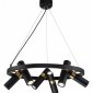 Подвесная люстра Favourite Light Point 2997-6P