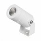 Прожектор уличный Arlight RAY 053627