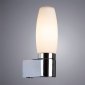 Настенный светильник Arte Lamp Aqua A1209AP-1CC