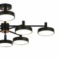 Потолочная люстра Siri 10211/8LED