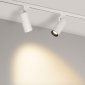 Трековый светодиодный светильник Arlight LGD-Gelios-Tune-4TR-R80-20W Day4000-Mix 039157