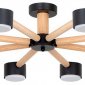 Потолочная люстра Arte Lamp Tenda A1624PL-8BK