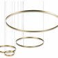 Подвесной светильник Loft it Ring 10017/4M