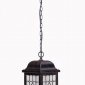 Уличный светильник подвесной Oasis Light LONDON L 64805L cover R
