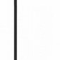 Настенный светильник Loft IT Linio 10149/900 Black