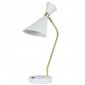 Интерьерная настольная лампа Zortes Desklight ZRS.1066.05